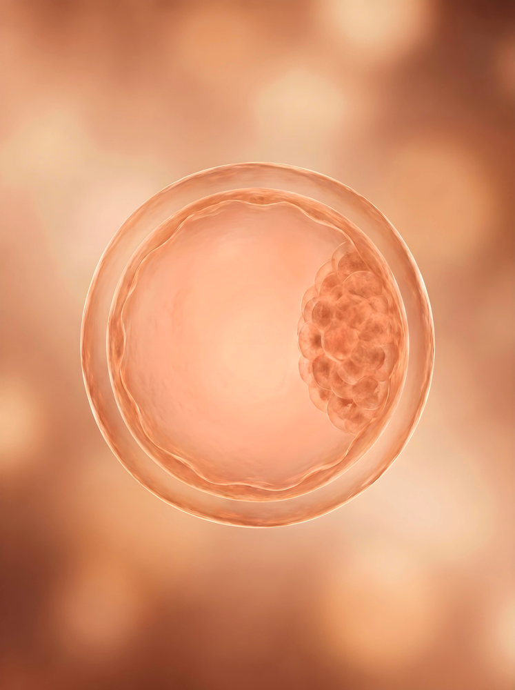 Baby's development around week 1